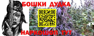 гашик Ипатово