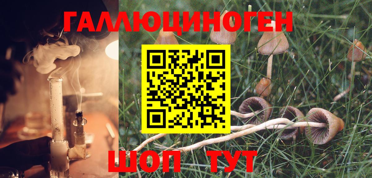 Галлюциногенные грибы Psilocybine cubensis  Вход с VPN  Курчатов 