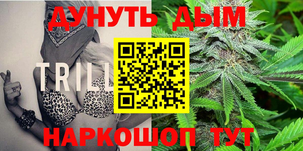 Курчатов  Бошки Шишки марихуана  Вход с VPN  Марихуана сатива  Конопля планчик  Конопля VHQ 